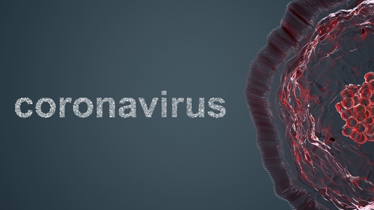 coronavirus title with image of virus structure